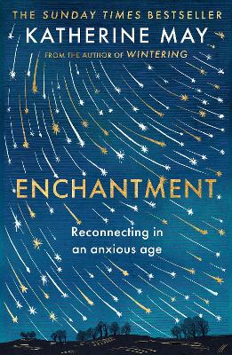 Enchantment: Reconnecting in an Anxious Age