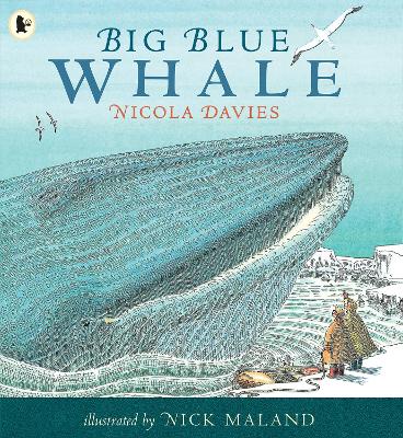 Big Blue Whale: Award-winning picture book about the blue whale, with a gentle story and fascinating facts