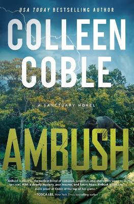 Ambush: A Small-Town Romantic Suspense
