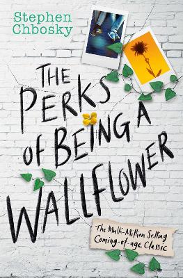 The Perks of Being a Wallflower YA Editi