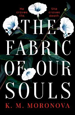 The Fabric of Our Souls: The heartbreaking, romantic and emotional thriller that TikTok readers are crying and swooning over