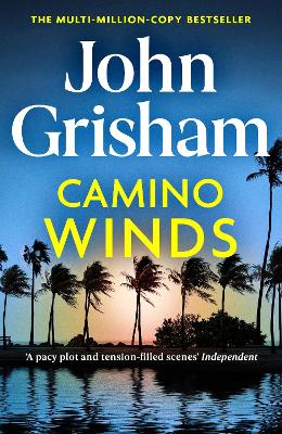 Camino Winds: The pulse-pounding crime thriller from the number 1 Sunday Times bestselling author
