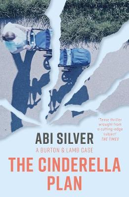 The Cinderella Plan: A legal thriller with a topical AI twist