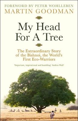 My Head for a Tree