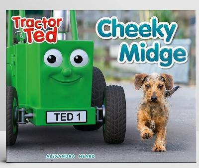 Tractor Ted Cheeky Midge Book: Join Cheeky Midge who is trying not to have a bath