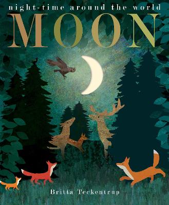 Moon: night-time around the world
