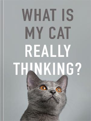 What is My Cat Really Thinking?: Our Mog