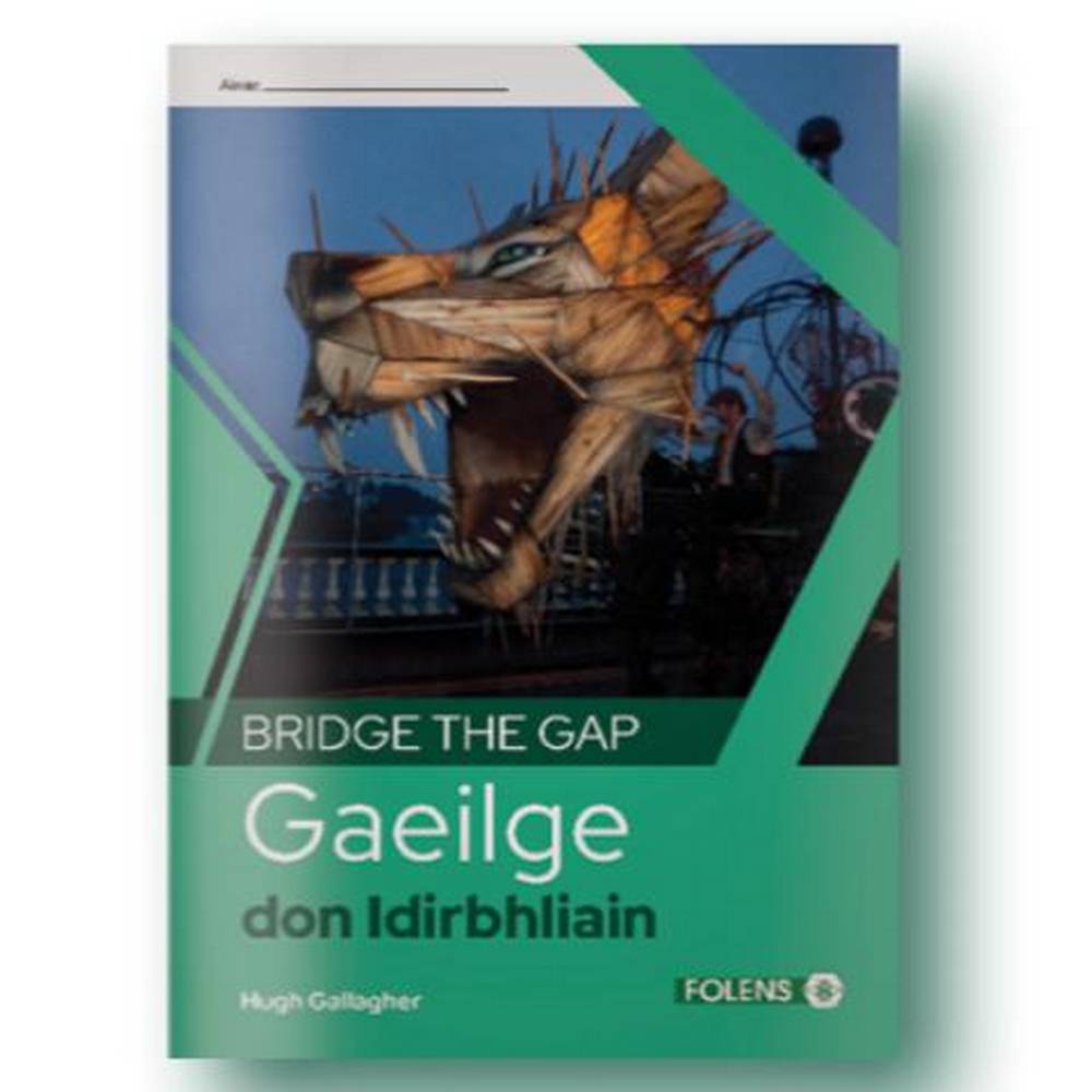 BRIDGE THE GAP - GAEILGE DON IDIRBHLIAIN