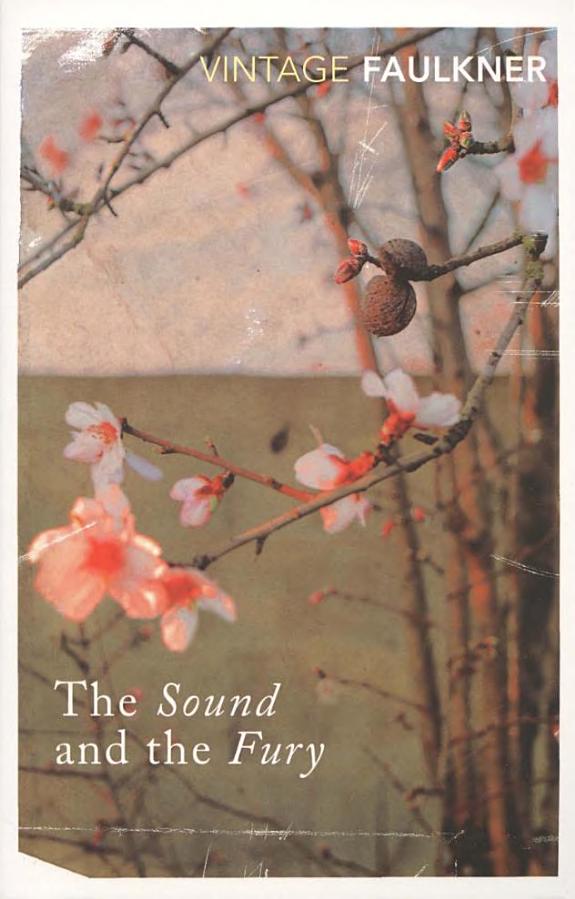The Sound and the Fury (Vintage Classics)