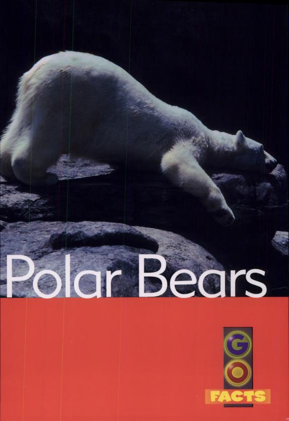 Polar Bears