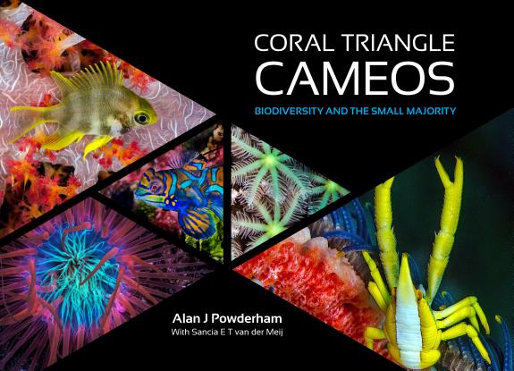 Coral Triangle Cameos: Biodiversity and the small majority