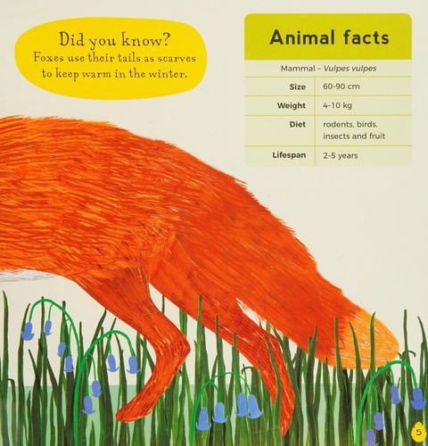 My First Book of Birds: Illustrated spotters guide to bird-watching in your own back garden with fun facts and bird identification for young nature lovers
