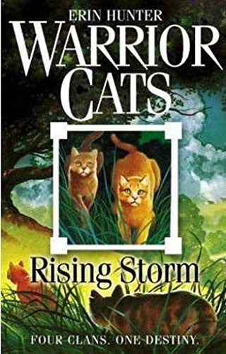 Warrior Cats Rising Storm : Book 4