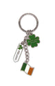 Good Luck Charm, Ireland Signpost - Irish keyrings