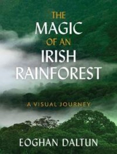 The Magic of an Irish Rainforest: A Visual Journey