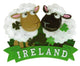 Twin Sheep Magnet - Irish magnets
