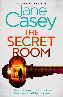 The Secret Room : Book 12