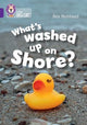 What's washed up on shore?: Band 08/Purple (Collins Big Cat)