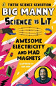 Awesome Electricity and Mad Magnets