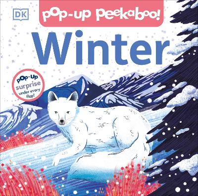 Pop-up Peekaboo! Winter: A Snowy Surprise Under Every Flap!