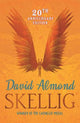 Skellig B*