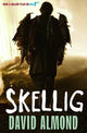 Skellig Film Tie in A