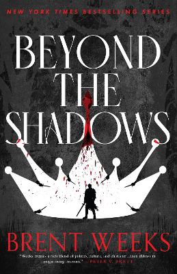 Beyond The Shadows: Book 3 of the Night