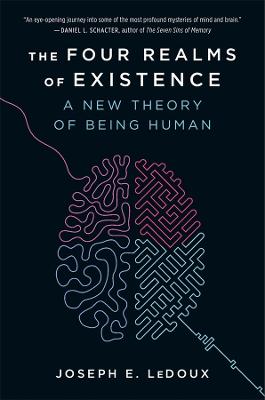 The Four Realms of Existence: A New Theory of Being Human