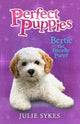 Bertie the Friendly Puppy
