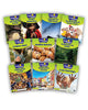 Cosán na Gealaí 1ST CLASS Non-fiction Reader PACK of 10