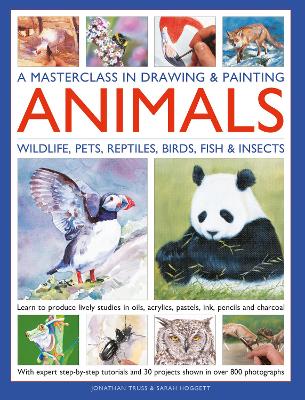 Masterclass in Drawing & Painting Animal