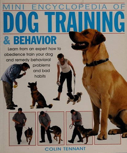 How To Train Your Dog