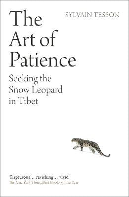 The Art of Patience: Seeking the Snow Leopard in Tibet