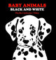 Baby Animals Black and White