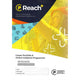 REACH+ Career and College Preparation Programme