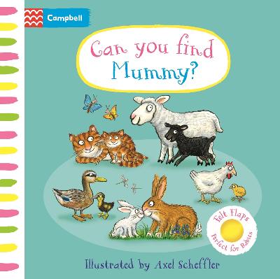 Can You Find Mummy?: A soft flaps book p