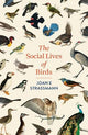 The Social Lives of Birds: a must-read for bird and nature lovers