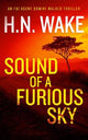 Sound of a Furious Sky: A Gripping FBI Crime Thriller