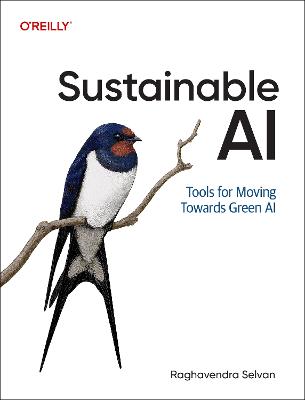 Sustainable AI: Tools for Moving Towards Green AI