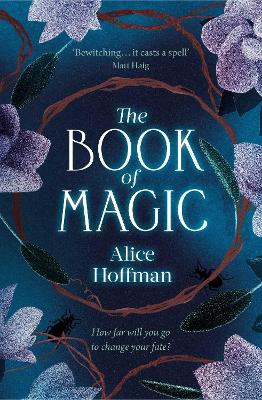 The Book of Magic: Volume 4