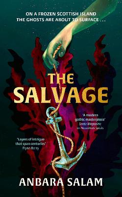 The Salvage: 'A gothic tale with a powerful sense of place and an eerie atmosphere' Sunday Times