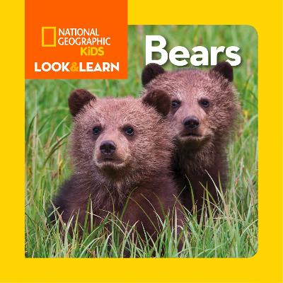 Look and Learn: Bears  (Look&Learn)