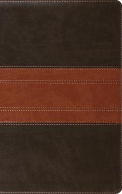 ESV Large Print Personal Size Bible, Red Letter