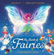 My Book of Fairies: A Beginner's Guide