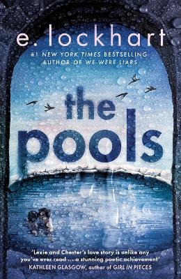 The Pools: the captivating new novel from New York Times bestselling author of We Were Liars