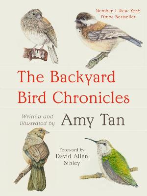 The Backyard Bird Chronicles