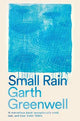 Small Rain