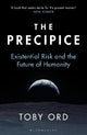 The Precipice: 'A book that seems made for the present moment' New Yorker