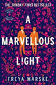 A Marvellous Light: A dazzling, queer romantic fantasy