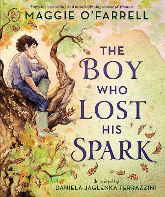 The Boy Who Lost His Spark: A magical book and a new modern classic for children aged 5, 6, 7, 8 from the award-winning author of HAMNET, about moving house, managing big feelings and discovering your spark